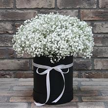 Цветочная композиция из Гипсофила в шляпной коробке в Чанах